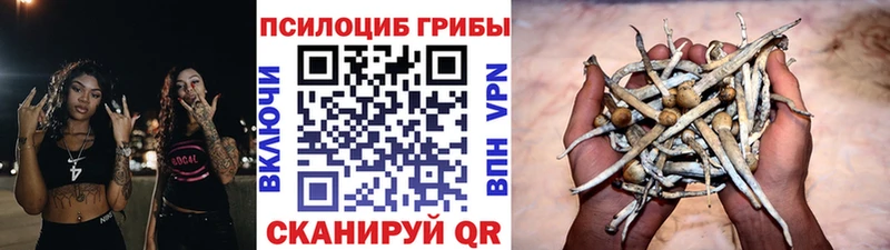 Галлюциногенные грибы ЛСД  Купить закладки  Новое Девяткино 